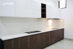 Chọn tủ bếp gỗ gì để không bị mối mọt ăn?